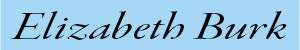 site logo