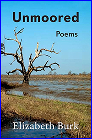   Unmoored Book Cover